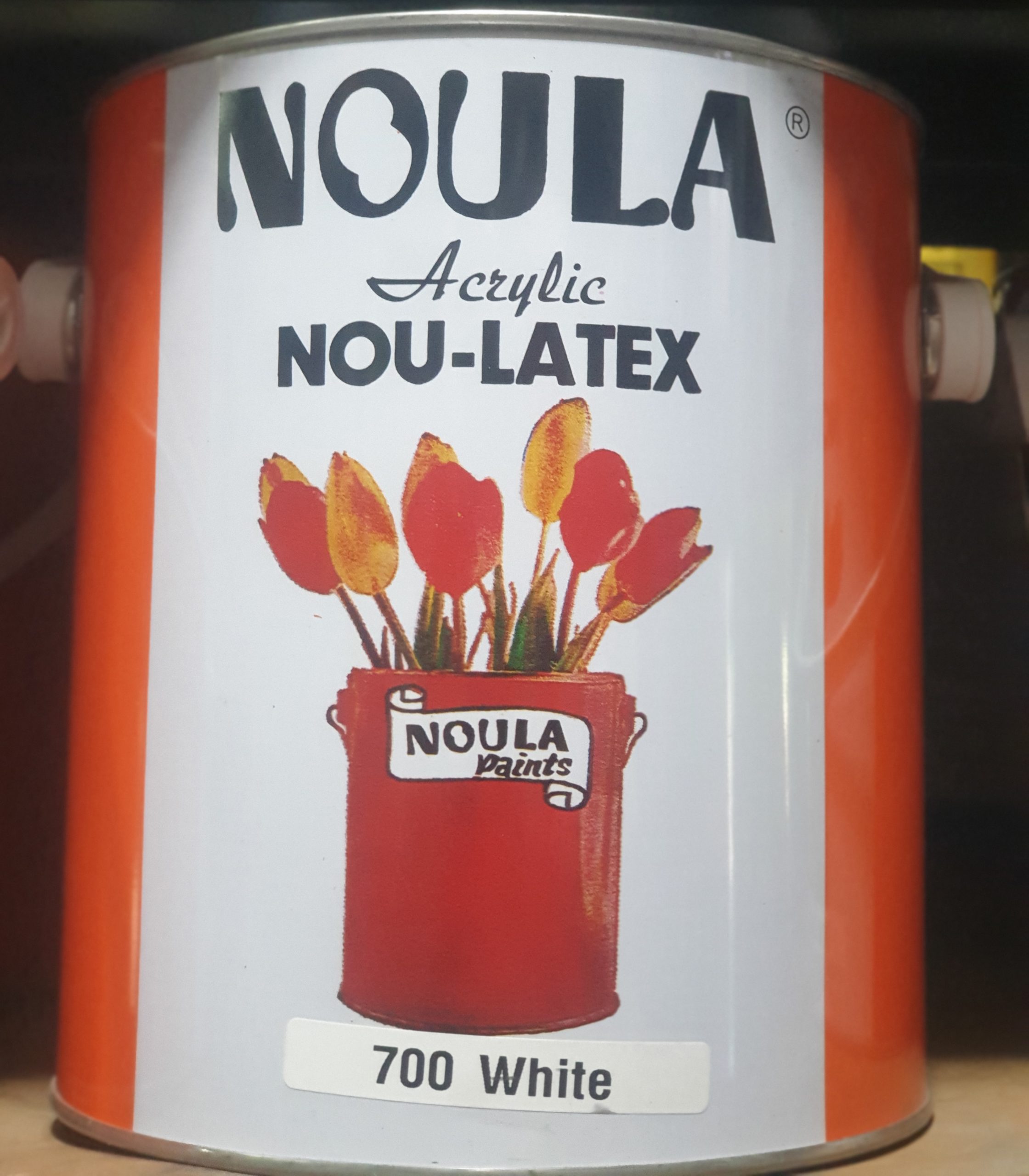 Latex Paint - Acrylic