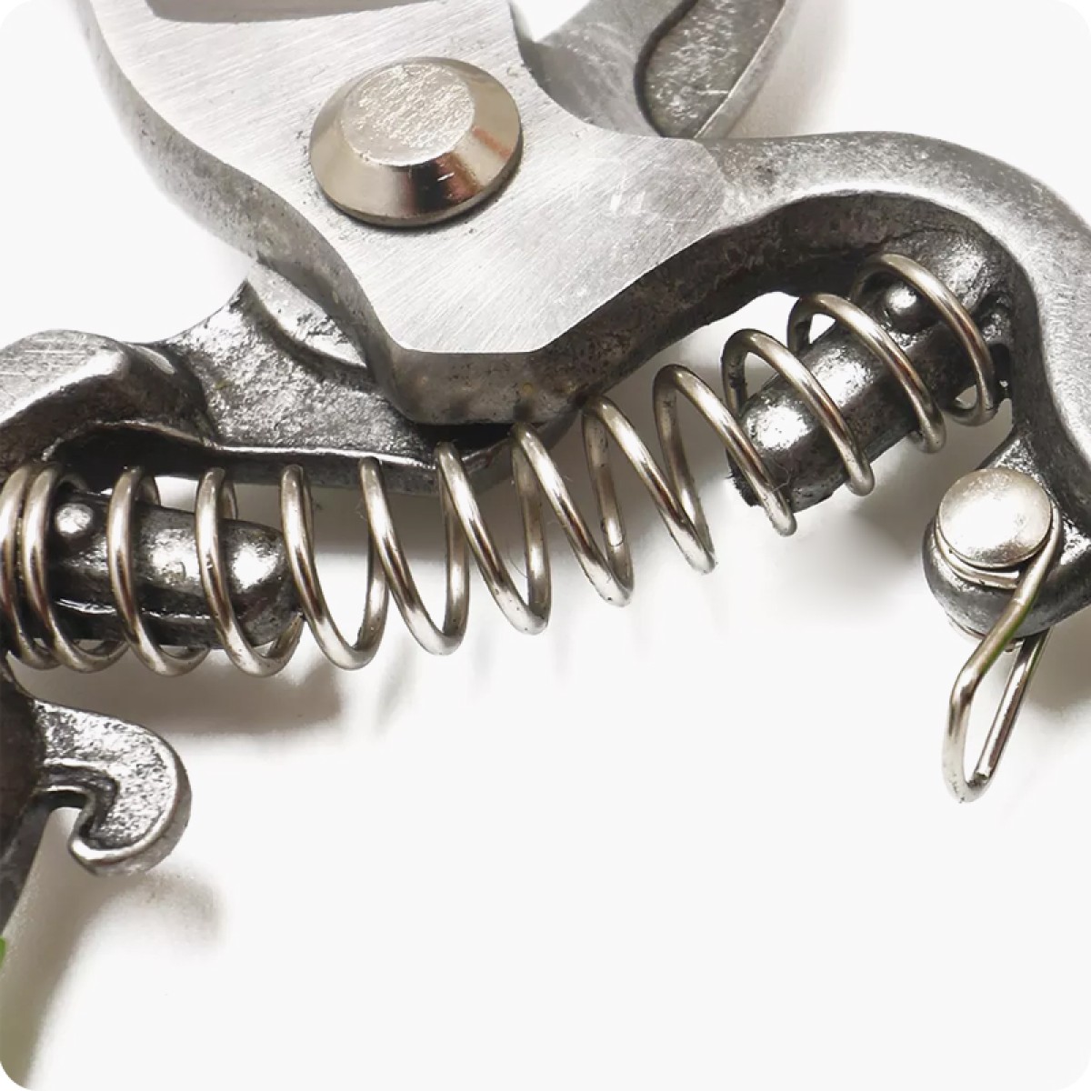Garden Pruner