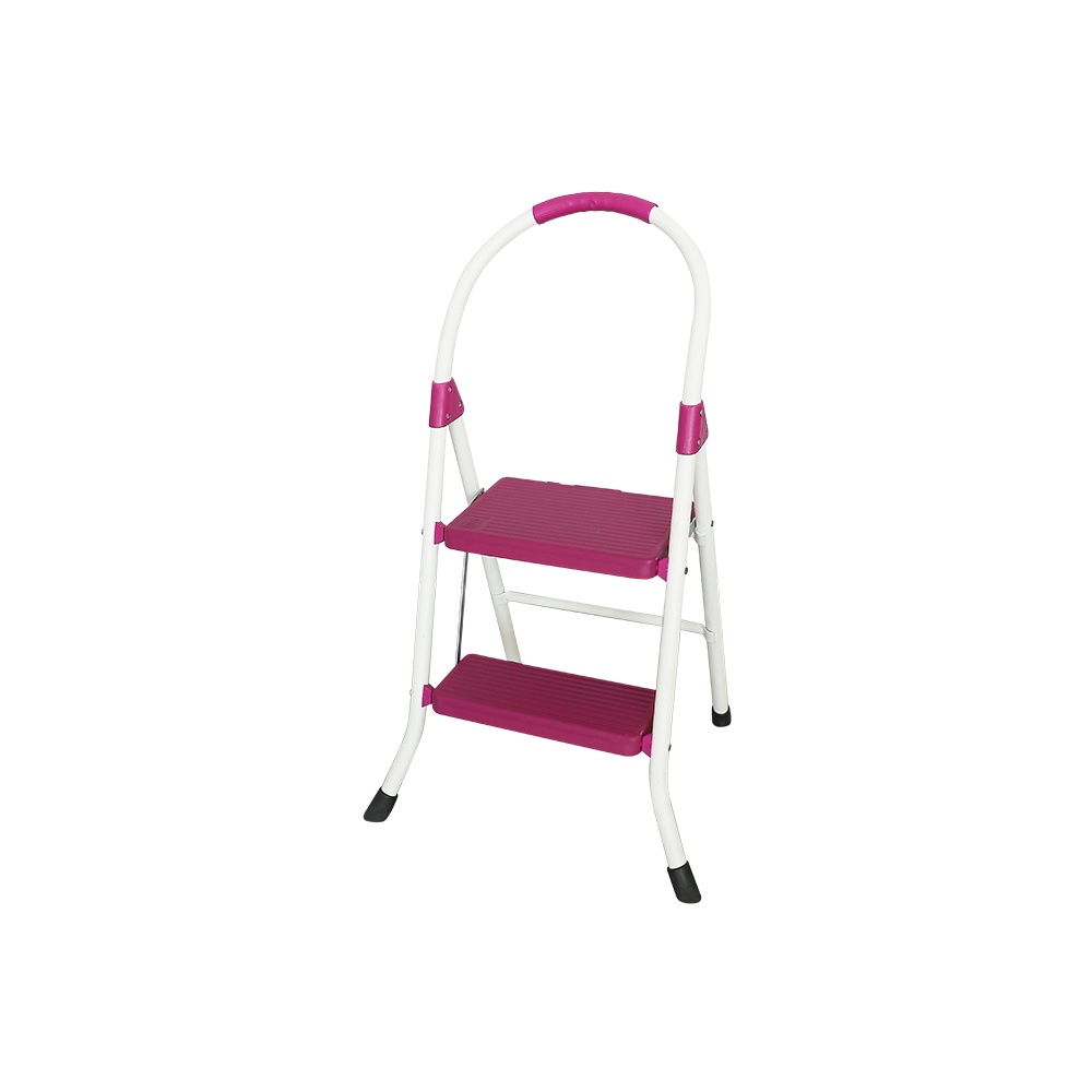 Home Type Ladder